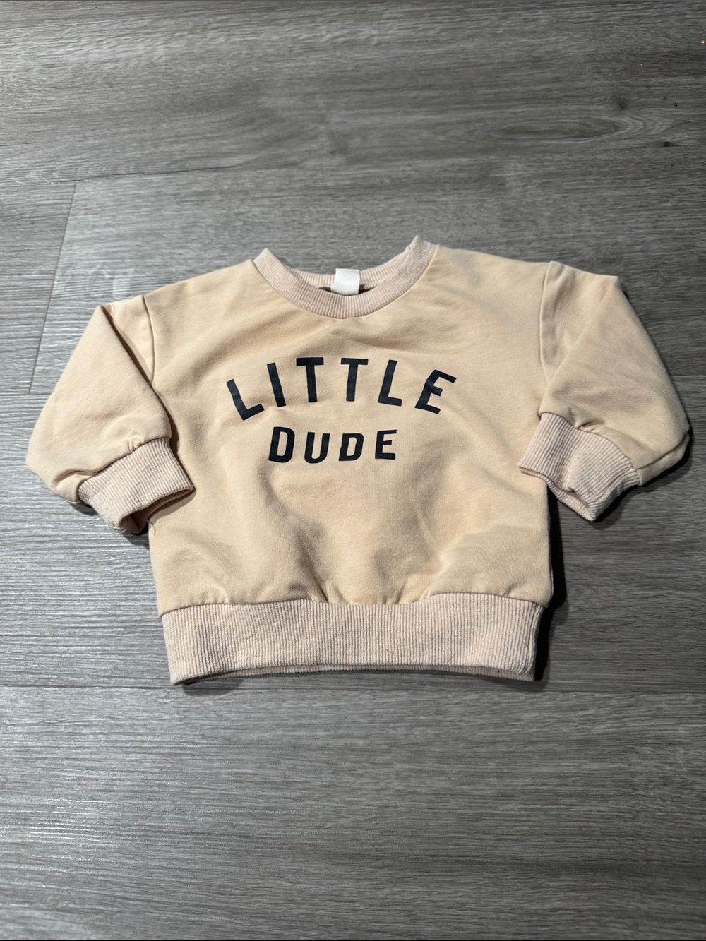 “Little Dude” Baby Crewneck - Picture 1 of 3